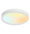 Downlight Selectable