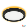 13" Surface Mount Disc 3CCT+Night Black