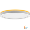 32" Surface Mount Oval 3CCT+Night White